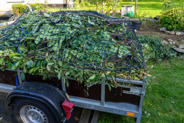 Best Hoarding Cleanup  in Agler Beach, FL